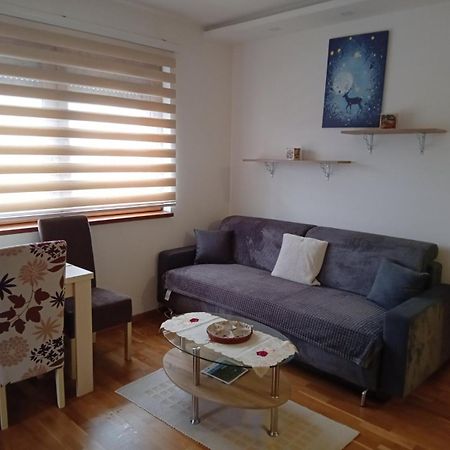 Iva Appartement Zlatibor Buitenkant foto