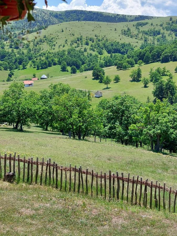 Iva Appartement Zlatibor Buitenkant foto